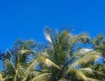 Il cielo � sempre azzurro dietro le nuvole