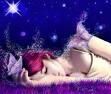 Il romanzo della vita  