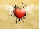 Le ali del cuore