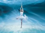 La douceur malgr� tout
