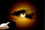 Les semailles de l�humanit�