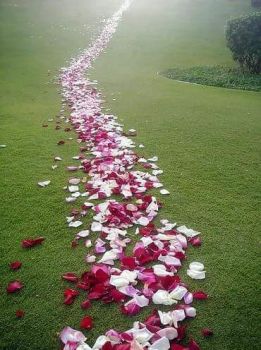 Le coeur
