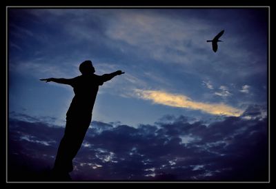 Solamente vive
