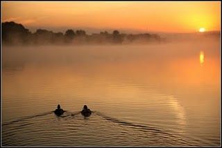 Foglie d'autunno