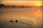 Foglie d'autunno