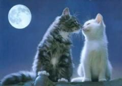 Douce nuit