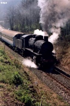 Il treno della vita