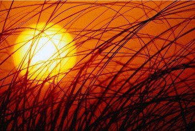 Come il sole