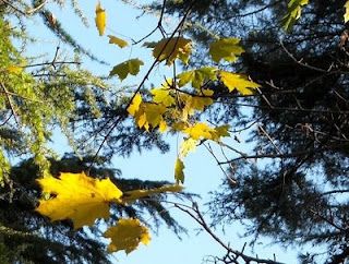 Come un temporale