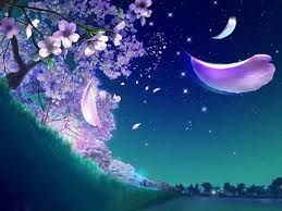 Abbracciata alla notte
