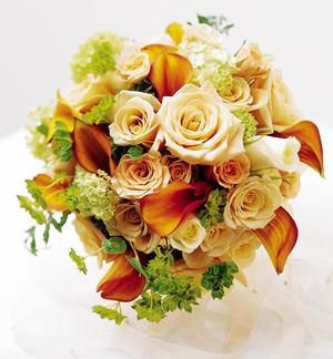 Collante d’amore