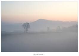 Nebbia