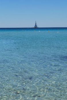 La radice dell’Amore