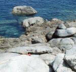 Voci raccolte