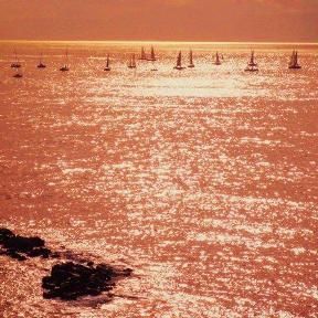 Alba felice