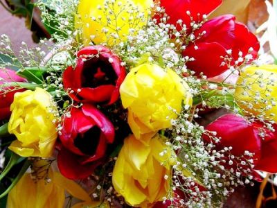 2 novembre � sempre nel cuore