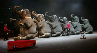 Il circo degli animali
