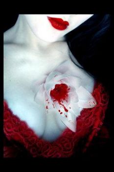 Cuore di latta
