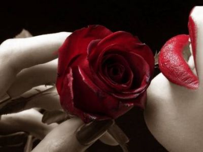 Lo scrigno del cuore