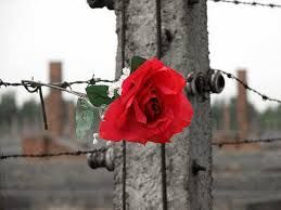 Memoria