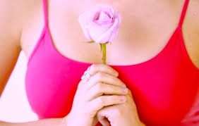 La rosa più bella