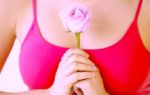 La rosa più bella