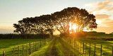 Il silenzio dell�Alba