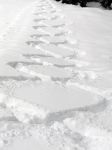 Un bacio scivolato sulla neve