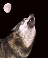Magie della luna