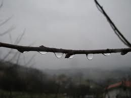 Cercandoti