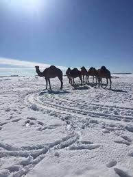Forse è freddo all’equatore