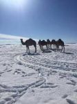 Forse è freddo all’equatore