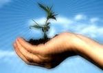 Fertilità d'amore