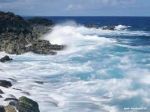 Tripudio marino