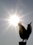 Sensazioni di primavera