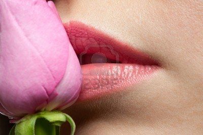 Sinergia d'intenti