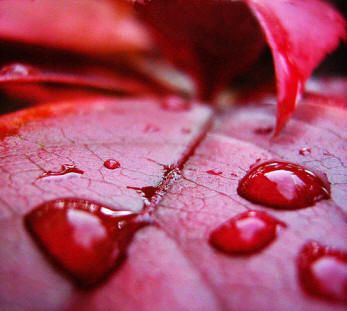 Ottobre