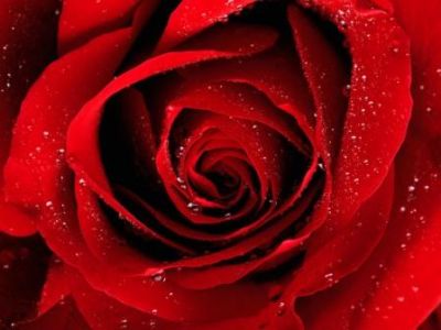Tratti d'Amore
