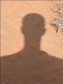 Tra l'Ombra
