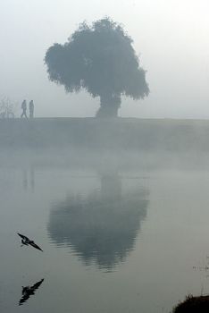 Cercando