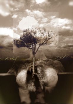 Di Terra Madre