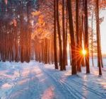 Sera d�inverno