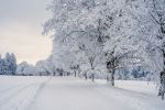 Bianco Dicembre
