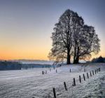 Stinge Dicembre