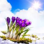 Verso la Primavera