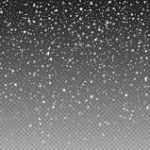 Neve leggiadra