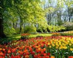 Quando arriver� Primavera?