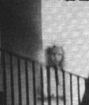 Fantasmi del passato