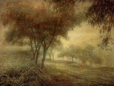 Ombre di ricordi