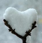 Neve